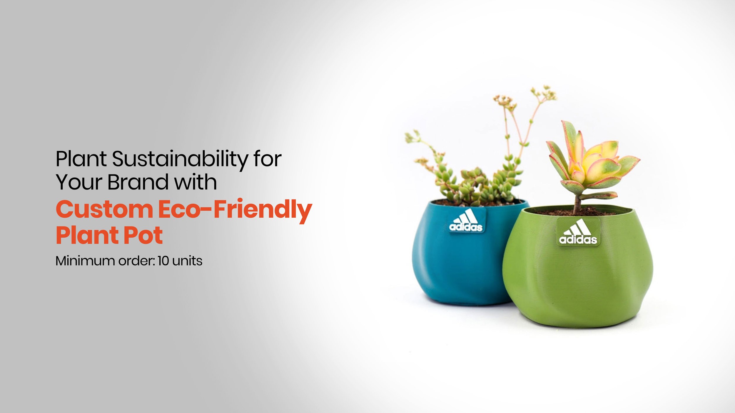 Custom Eco-Friendly Plant Pot for Sustainable Corporate Gifting in